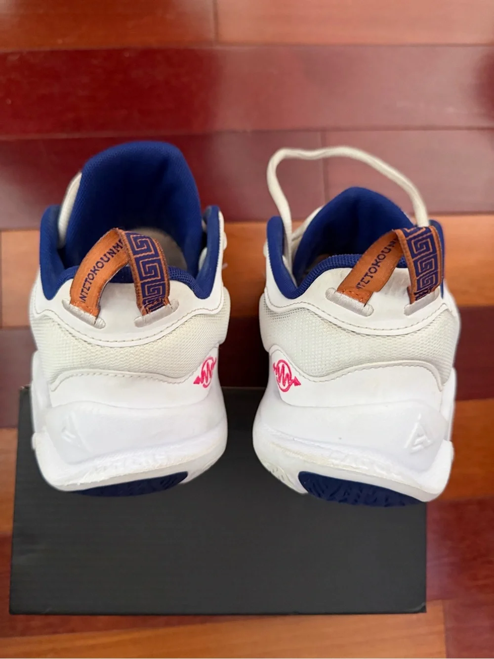 Nike Kid’s size 6 Youth Giannis Immortality (GS) Basketball Sneakers